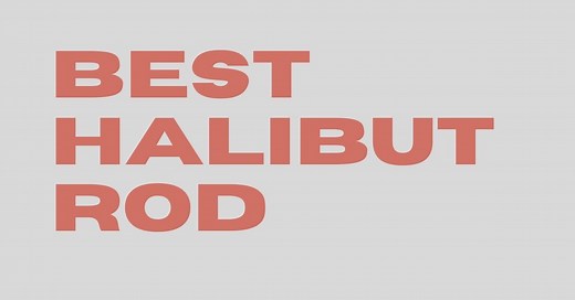 Best Halibut Rods - The Top Six Reviewed