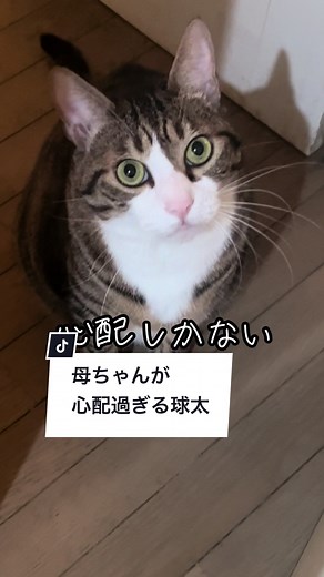 デジタル技術で楽しむイマーシブミュージアム体験