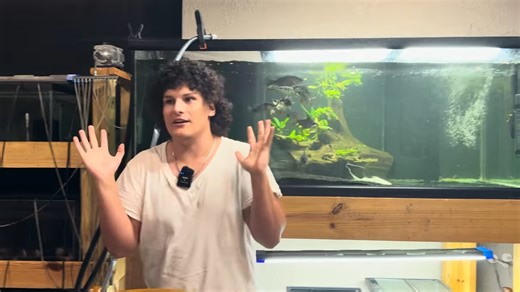 How risky it really is to fish in alligator water