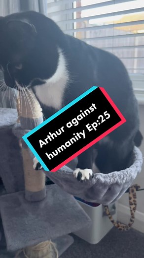 Arthur&HisMums on TikTok