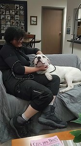 90K views · 5.7K reactions | Seriously....THE WORLD'S BEST DOG is...