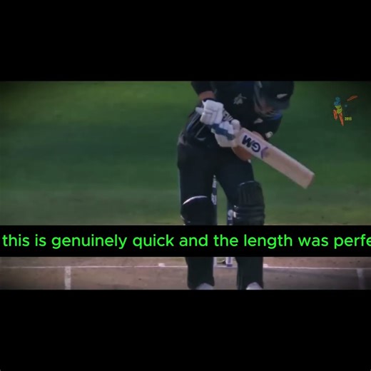 icc cricket world cup final 2015 #highlights #cricket #shorts