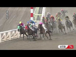 Playback TCK（2021/9/7）