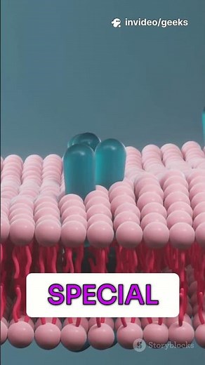 Cells: The Building Blocks of Life Explained!