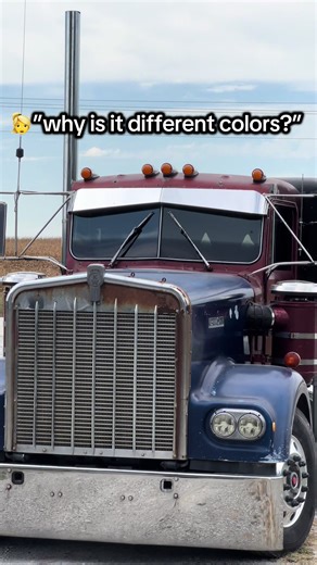 Pinball_Machine (@pinball_machine)’s video of colors