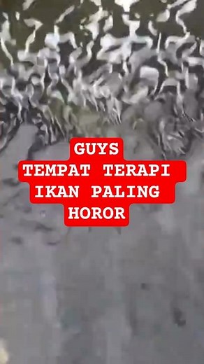 Enak Digoreng Ikan Terapi | Karna Dia | Short | 002859