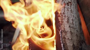 Burning fire bonfire closeup reveal of flames burning on wood in campfire slow motion shot Stock Video