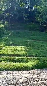 5.8K views · 39 reactions | Agriculture Mechanization plays a critical role in increasing Agriculture productive and increase profitability of farmers saving labour and time. | Agriculture Activities | Facebook