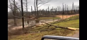 Near Tylertown, MS | Scotty Ray Report