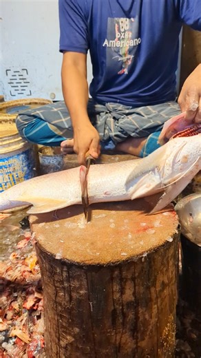 Knife & Fish on Instagram: "Expert salmon Fillet — Watch Master Cutting Skills in Action! 💥🐟 #fblifestyle #thanksgivingwishes #thanksgiving #canadianthanksgiving #pizzanight #thanksgivingdinner #pizzaparty #diyprojects #cabinlife #diyrepair #crafting"