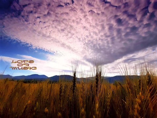 Hello sunshine - Bruce Springsteen | Laps of music