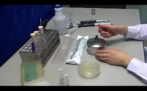 视频Ⅸ-a 细菌生理生化鉴定API-20NE