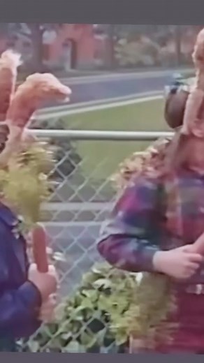 Good Morning All 🐣HAPPY EASTER🐇 Lets Get Hopping 🤭💜🥳🥳🥳 #barneyandfriends #barney #barneypbskids #happyeaster #bunnyhop