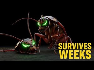 You Won't Believe How Long A Cockroach Lives Headless | Animal Facts