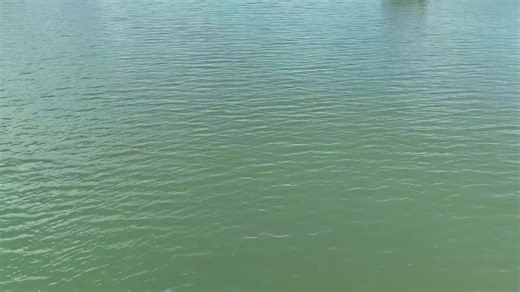 Latest drowning on West Point Lake