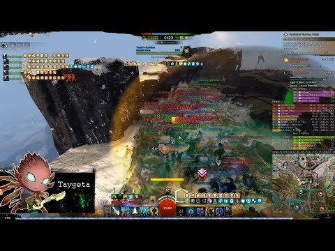 GW2 WvW - Healer Druid - Extraordinary Zerg Support