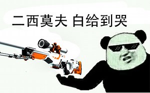 【CSGO】AWP正确的使用姿势