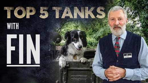 David Willey & Curator Fin: Top 5 Tanks You Can’t Miss