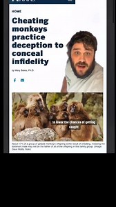 Creature of the day: The Gelada Monkey The gelada (Theropithecus...