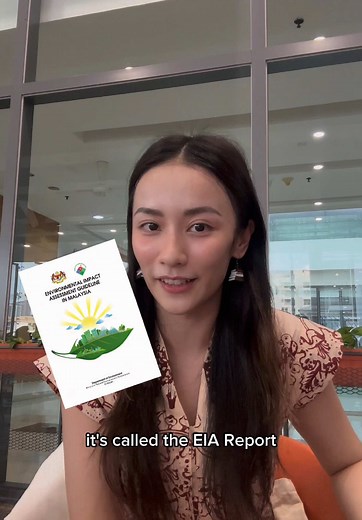 Understanding Environmental Impact Assessment in Malaysia