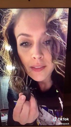 PART ONE of Cockroach Craig prank! #aprilfools #prank #teacher #teachersoftiktok #bugs @kat_mclean