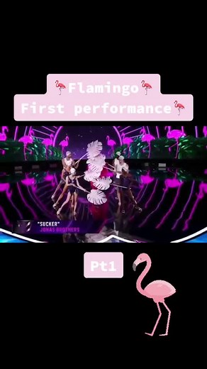 Flamingo's First Performance on The Masked Singer