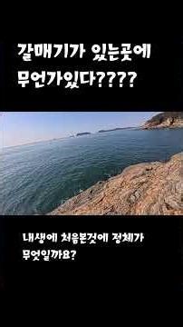 #camping#fishing#루어#낚시#서해#동해#광어#우럭#투잡#붕어빵#잉어빵#쭈꾸미#갯바위#삼치#농어#메탈#유튜버#유튜브#마도#신진#석문방조제#학암포