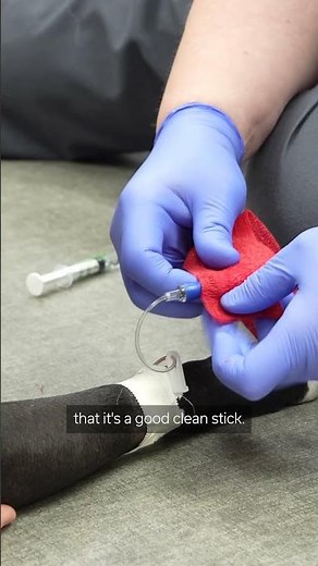 Vet Tech Week: A Day in the Life