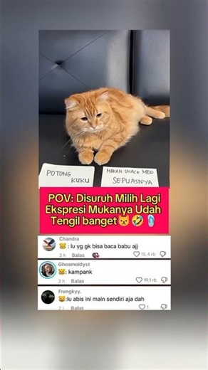 Tengil Gets Pranked Again