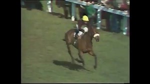 1977 Grand National - Red Rum