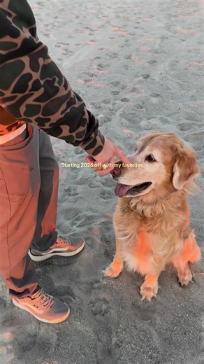 At the best place ever