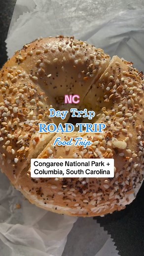 Charlotte, North Carolina day trip road trip to Congaree National Park in South Carolina — one of the South’s only national parks! #charlotte #charlotteroadtrip #congareenationalpark #nationalpark #columbiasc #northcarolina #southcarolina #northcarolinaroadtrip #cltroadtrip #ncroadtrip #scroadtrip #congaree