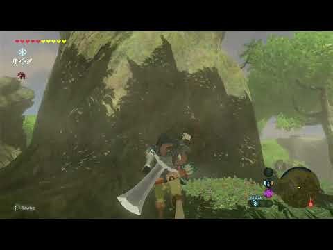Zelda BOTW Master Mode NS2 Part 4