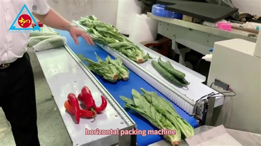 Automatic Horizontal Pillow Bag Type Vegetable Pillow Packing Machine Lettuce Cabbage Fresh Leaf Vegetable Packaging Machine