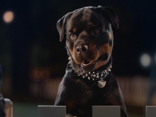 SimpliSafe Introduces “Changing of the Guard” — Guard Dogs Face Retirement