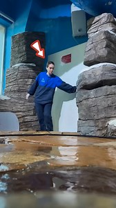 "Amazing Teacher-Student Duo! Learning Made Fun 🎓✨ #shorts #shortstudent | Explain Buzz