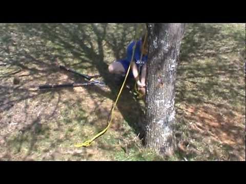 How to build a deer snare trap