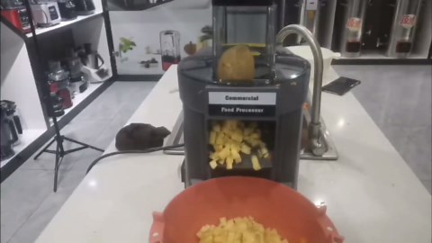 3 in 1 Electric Vegetable Chopper Slicer, Multifunctional Onion Chopper Food Dicer Shredder Processor, Automatic Veggie Fruit Cutting Dicing Machine with Stainless Steel Blades for Commercial Home Use