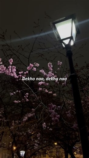 Jo Tum Mere Ho | Anuv Jain Slowed And Reverb Status Song #wgitachi