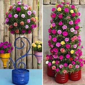 54K views · 880 reactions | Creative Vertical Flower Gardens | Diy Garden World | Facebook