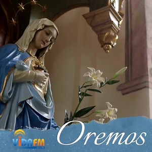 12 reactions · 5 comments | Virgen María enséñanos a Orar. Llámanos 809-536-1053 @franclora ora por tus necesidades.  Menciona / Comparte / Etiqueta #AlosPiesdelaVirgen #CoronillaDivinaMisericordia #IntencióndelDía #UnidosenOración #Vidafm1053 #LaMusicaquenNosAcercaaDios #LaMusicaquenosUnes | Vida FM 105.3 | Facebook