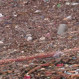 223K views · 887 reactions | 93% of Americans aged 6 or older test positive for BPA. Let's get plastics out of the ocean. | 4ocean | Facebook