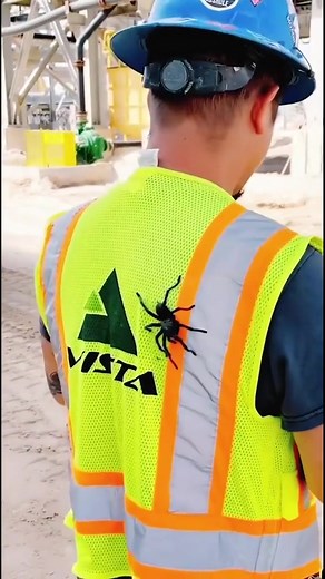 Hilarious Spider Prank on Dom!