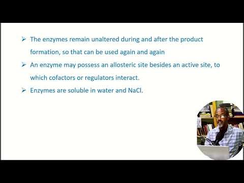 Biology Grade 11 unit 2: properties of enzymes