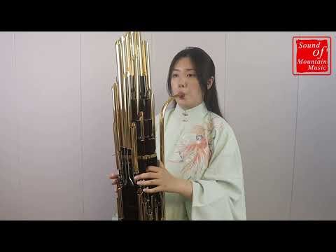 Premium Quality Chinese Ancient Instrument Golden Sheng 36 Pipes With Case 笙