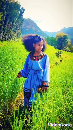 nebu (@nebu0727)’s videos with original sound - nebu