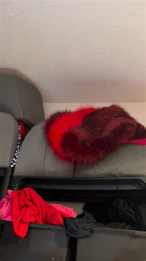 Alley Einstein on Reels