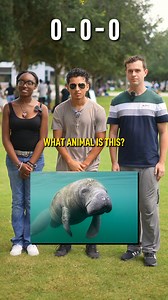 756K views · 8.8K reactions | Follow to get smarter 易 | Brady Your Tutor | Facebook