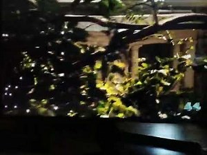 The Fairies - Series 1 Episode 20 - Full Episode - (Part 1)