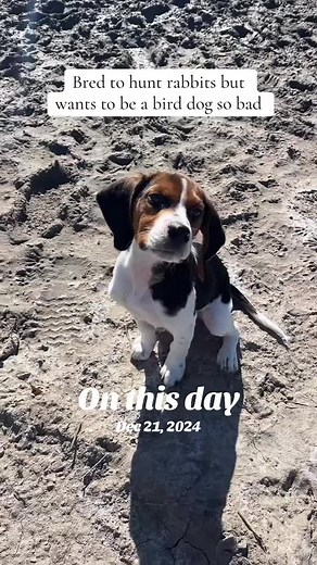 Significant Events on December 21